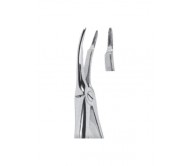 Extracting Forceps